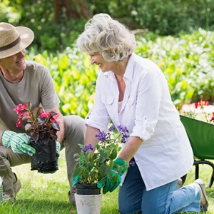 Health Communities and Age-friendly Planning