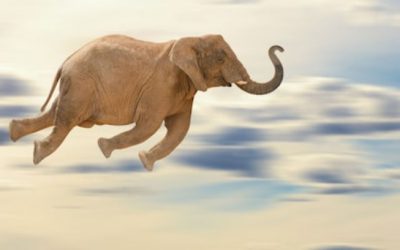 Flying Elephants and Travel Emissions