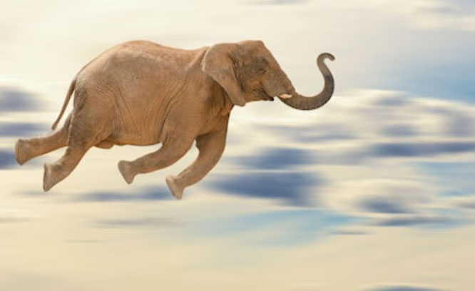Flying Elephants and Travel Emissions