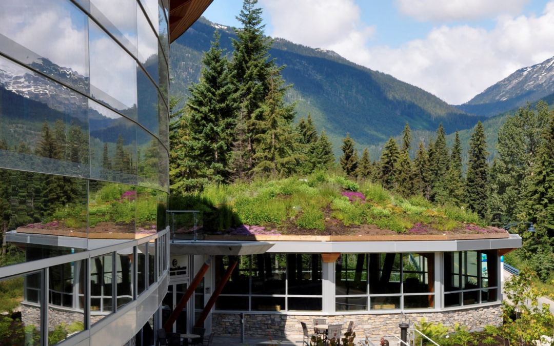 Living roof on Squamish Lil'wat Cultural Centre