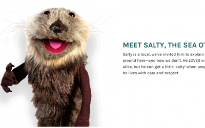 Sea Otter Musings on Responsible Travel