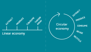 Linear economic model vs. circular economy