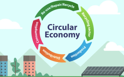 Circular economy – exploring ways to live lighter and better